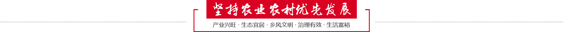 堅(jiān)持農(nóng)業(yè)農(nóng)村優(yōu)先發(fā)展 堅(jiān)持農(nóng)業(yè)農(nóng)村優(yōu)先發(fā)展