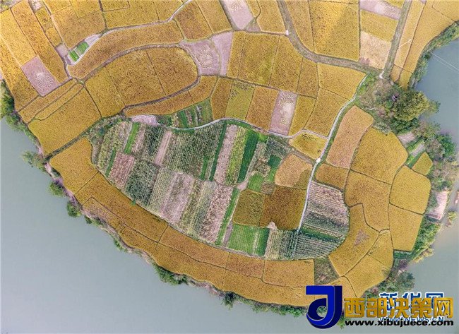 1509675540856762.jpg 6.jpg