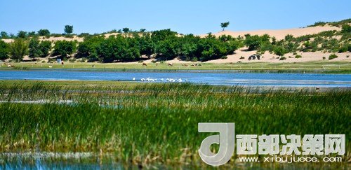 阿魯科爾沁保護(hù)區(qū)濕地沙丘。吳勇攝