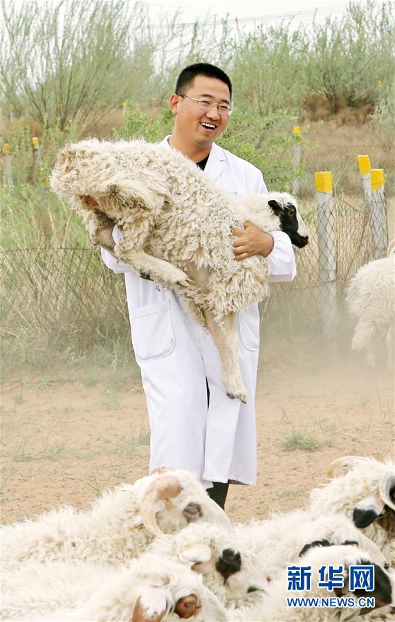 （壯麗70年·奮斗新時代——共和國發(fā)展成就巡禮·圖文互動）（3）生態(tài)美、百姓富——品讀嶄新“寧夏畫卷”