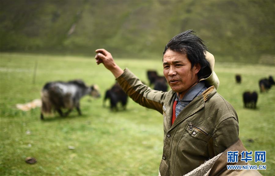 (新華全媒頭條·決戰(zhàn)決勝脫貧攻堅·圖文互動)(6)在青山綠水間跨越千年——青海探索生態(tài)脫貧之路報告