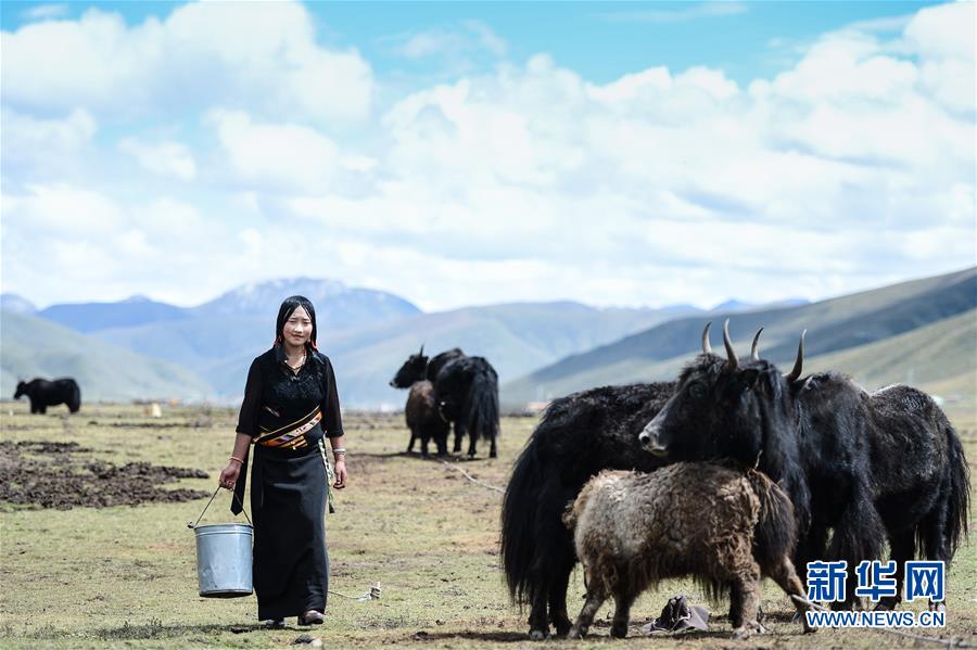 (圖文互動(dòng))(13)青海省所有貧困縣脫貧摘帽