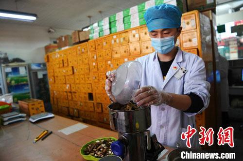 疫情發(fā)生以來，甘肅確保所有病例盡早、及時(shí)、全程使用中醫(yī)中藥，努力做到“一患一方案”。(資料圖) 楊艷敏 攝
