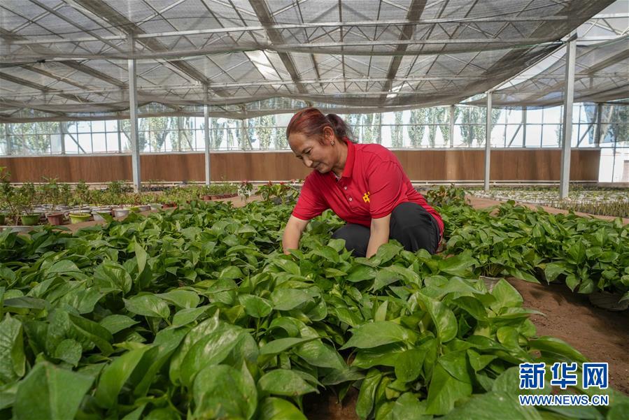 （新華全媒頭條·圖文互動(dòng)）（11）旗引天山南北　譜寫發(fā)展新篇——以習(xí)近平同志為核心的黨中央關(guān)心新疆工作紀(jì)實(shí)