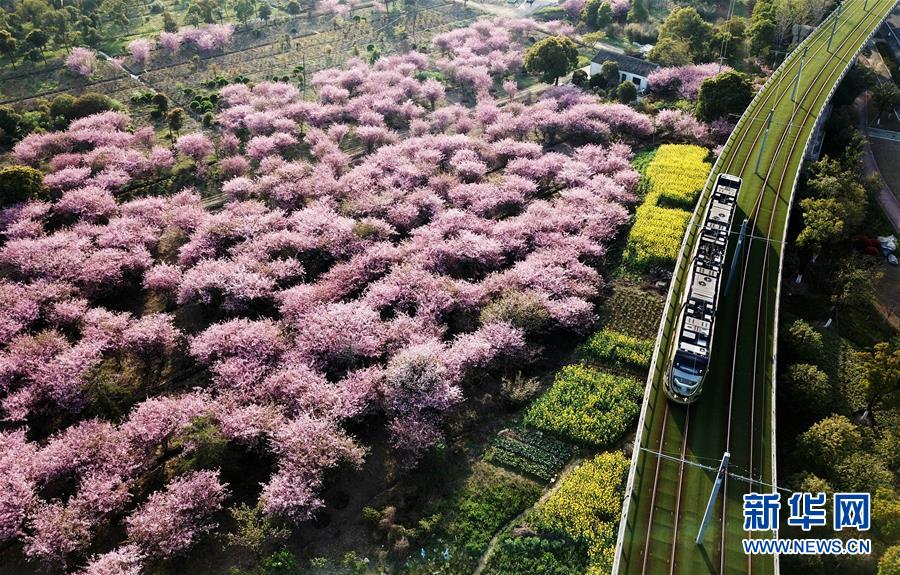 (新華全媒頭條·圖文互動)(4)偉大旗幟引領歷史巨變——習近平新時代中國特色社會主義思想指引“十三五”經濟社會發(fā)展述評