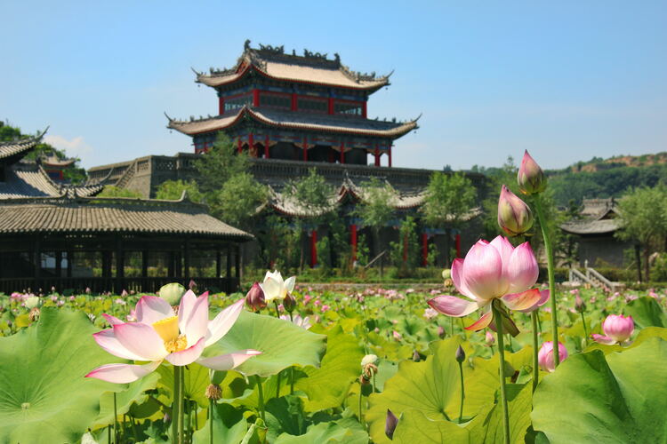 【云游渭南】心中若有桃花源，此處便是水云間！待疫情散盡，一起來(lái)渭南桃花源賞美景、觀民俗、享美食_fororder_2