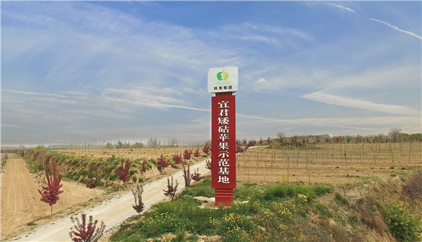 支持陜果集團(tuán)宜君矮砧蘋(píng)果示范基地